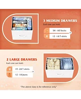 Wlive Dresser for Bedroom with 5 Drawers Long Fabric Storage Drawer Unit Bins Closet Hallway