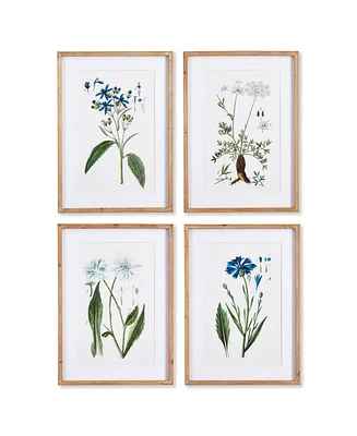 Napa Home & Garden Mountain Botanical Prints, Set Of 4