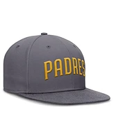 Nike Men's Gray San Diego Padres Performance True Fitted Hat