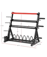 Sunny Health & Fitness All-In-One Weights Storage Rack Stand - Sf-XF920025