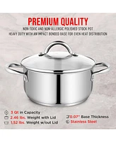 Bakken-Swiss Deluxe 3-Quart Stainless Steel Stockpot w/Tempered Glass See-Through Lid - Simmering Delicious Soups Stews & Induction Cooking