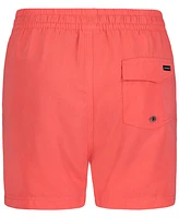 Quiksilver Big Boys Everyday Volley Swim Shorts