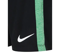 Nike Little Boys Dri-fit Dropset T-Shirt & Shorts Set