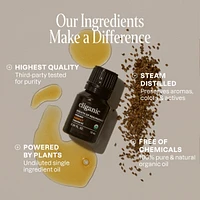 Organic Carrot Seed Essential Oil