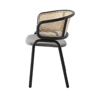 Dining Chair With Stainless Steel Legs Velvet Seat and Wicker Back