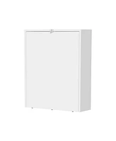 Fm Furniture Aguila Wall-Mounted Drop-Leaf Table, White