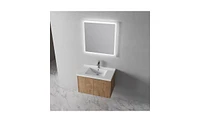 Bathroom Vanity with Soft Close Doors and Sink for Stylish and Functional Bathroom Storage