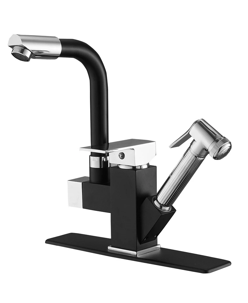 Double-Handle Pull-Out Sprayer 2 Spray Low Arc Kitchen Faucet With Deck Plate in Matte Black & Polished Chrome