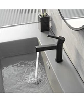 Single Handle Hole Modern Black Bathroom Faucet Drip-Free Vanity Sink Polished Chrome