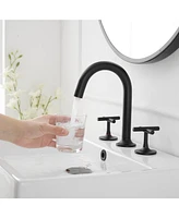 8 in. Widespread Double-Handle High-Arc Bathroom Faucet