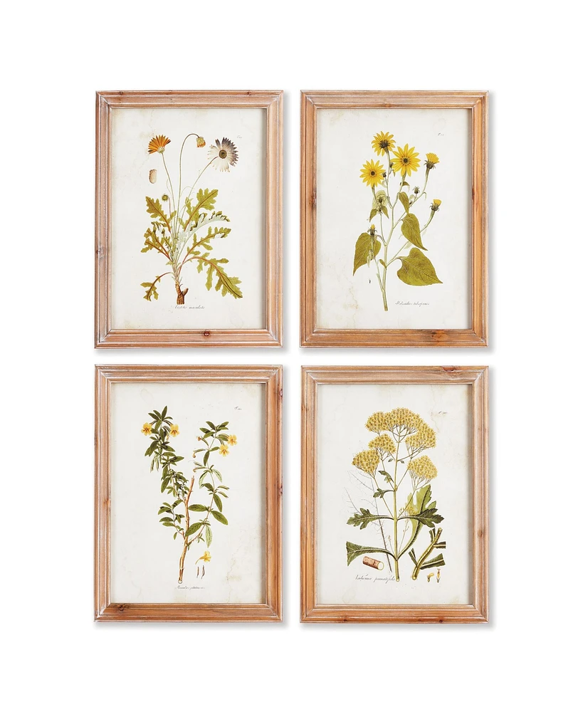 Golden Wildflower Study, Set Of 4