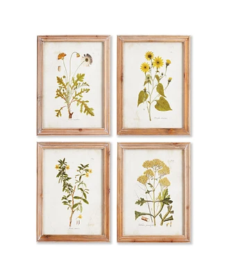 Golden Wildflower Study, Set Of 4