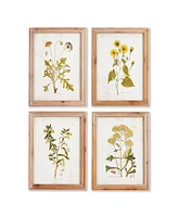 Golden Wildflower Study, Set Of 4
