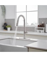Single Handle Pull Down Sprayer Kitchen Faucet