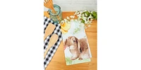 Floppy Ear Easter Bunny Rabbit Spring Printed Flour Sack Kitchen Dishtowel