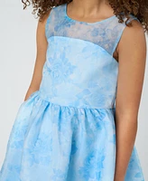 Rare Editions Toddler and Little Girls Floral Organza Social Dress