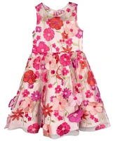 Rare Editions Toddler and Little Girls 3D Floral Embroidered Social Dress