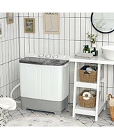 2-in-1 Portable 22lbs Capacity Washing Machine with Timer Control