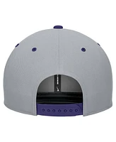 Nike Men's White/Gray Tcu Horned Frogs Pro Performance Snapback Hat