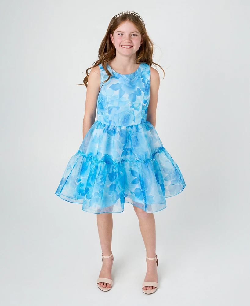 Rare Editions Big Girls Floral Organza Social Dress