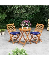 Outdoor Folding Chairs with Seat Cushions for Comfortable Patio Seating (Set of 2)