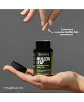Mullein Leaf Extract Capsules, Lung & Respiratory Health, Daily Respiratory Health Supplement, Lung Support, Havasu Nutrition, 90ct