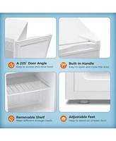 Kismile Mini Freezer,1.1 Cu.ft Upright Freezer with Reversible Single Door,Removable Shelves,Small Freezer with Adjustable Thermostat for Home/Kitchen