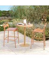 Carmella Outdoor BarStool(Set of 2)