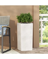 Plant Illuminators: Highlight Your Garden's Charm