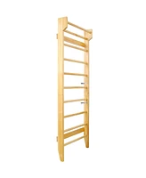 Multi-Purpose Swedish Ladder & Pull-Up Bar for Gymnastics, Physical Therapy, and Home Workouts