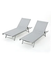 Luxurious Chaise Lounge Set for Sunbathing and Poolside Comfort