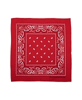 Bioworld Lightweight Multicolored 22"x22" 12-Pack Bandana Set