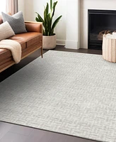 Addison Chantille Machine Washable ACN911 8'x10' Area Rug