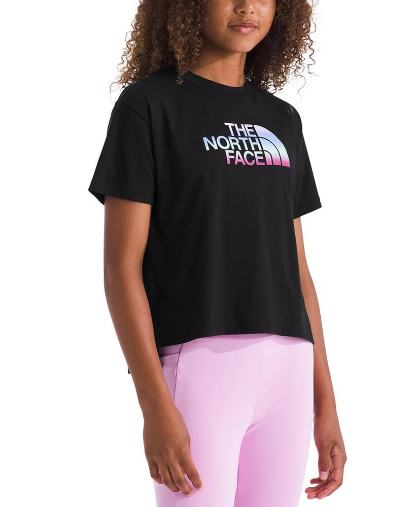 The North Face Big Girls Gradient Half Dome Graphic Cotton T-Shirt