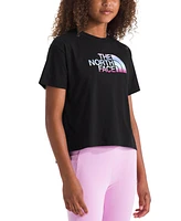 The North Face Big Girls Gradient Half Dome Graphic Cotton T-Shirt