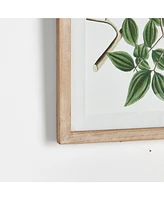 Verdant Branch Prints, Set Of 4