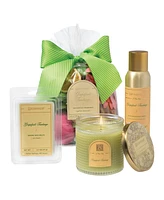 Aromatique Grapefruit Fandango Standard Decorative Fragrance Bag