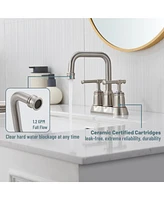 2 Handle Bathroom Sink Faucet, 4-Inch Centerset Faucet with Pop Up Drain and Water Supply Lines