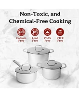 Alva Maestro Professional Stainless Steel Cookware Set - Premium Stock Pot & Saucepan with Lids - Non-Toxic, Pfas/Pfoa/Ptfe-Free Kitchen Essentials