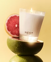 Nest New York Grapefruit Classic Candle, 8.1 oz.