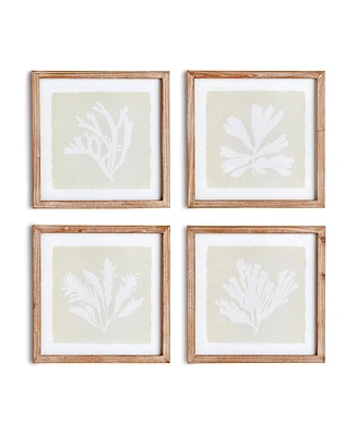 Seaweed Petite Prints, Set Of 4
