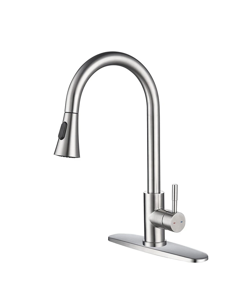 Kitchen Faucet with Pull Out Spraye