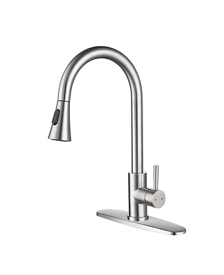 Kitchen Faucet with Pull Out Spraye
