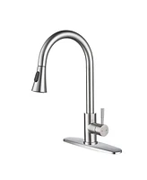 Kitchen Faucet with Pull Out Spraye