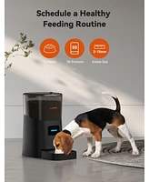 6L Automatic Cat Feeder, WiFi Automatic Dog Feeder with App Control for Remote Feeding, Automatic Cat Food Dispenser with Low Food Sensor and Voice Re