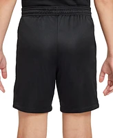 Nike Big Kids Trophy23 Dri-fit Shorts