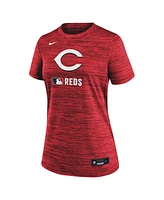 Nike Women's Red Cincinnati Reds Authentic Collection Velocity Performance T-Shirt