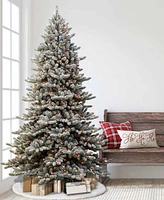 Puleo Pre-lit Artificial Fir Tree 9 ft