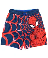 Spider-Man Boys Marvel Pullover Rash Guard and Swim Trunks to