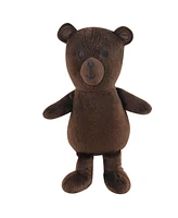Hudson Baby Infant Boy Plush Blanket with Toy, Forest Bear, One